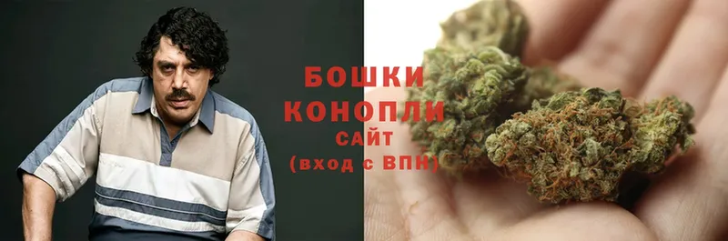 Конопля OG Kush  магазин  наркотиков  Усть-Лабинск 